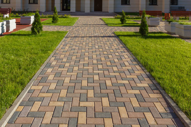 Best Driveway Paving Contractor  in Woodbridge, VA
